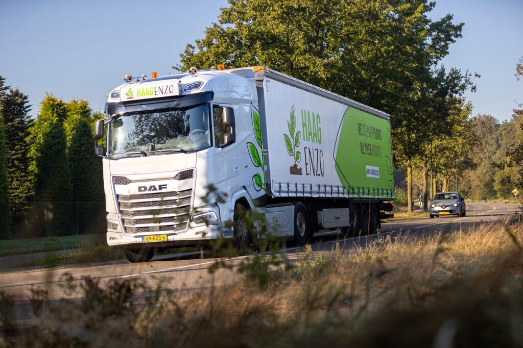 HaagEnzo-online-haagplanten-kopen-levering-nederland